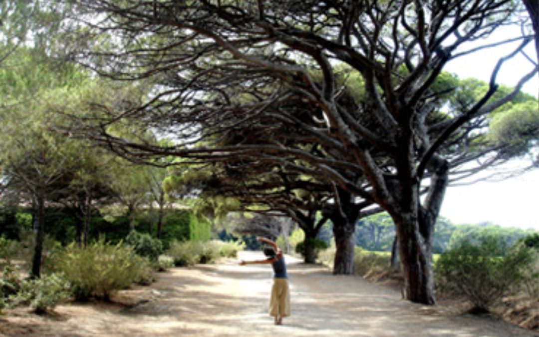 Cambio programma Estate 2020 : On y va…Porquerolles e Calanques